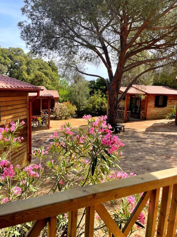 Feriendorf La Mora Calvi (Corsica) Exterior foto