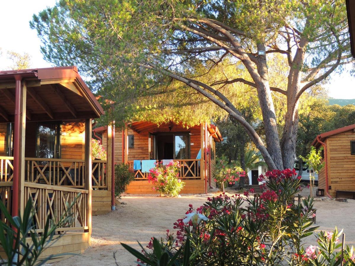 Feriendorf La Mora Calvi (Corsica) Exterior foto