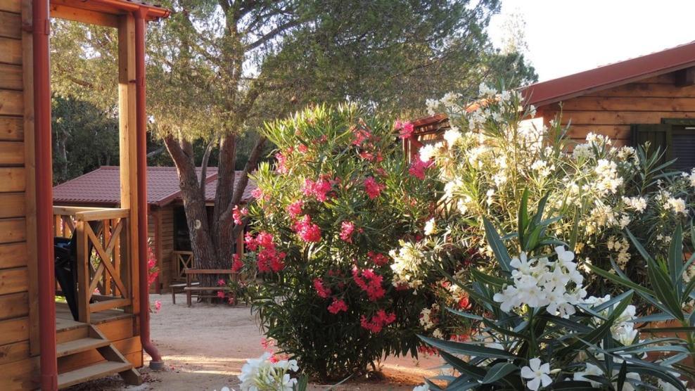 Feriendorf La Mora Calvi (Corsica) Exterior foto